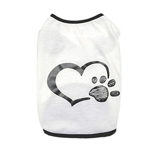 Hundebekleidung Hunde Kleidung Für Kleine Hundekleidung Hundemantel Für Kleine Hundemantel Französische Bulldogge Kleidung Katze Kleidung Haustiere Welpenkleidung White,M von KunLS