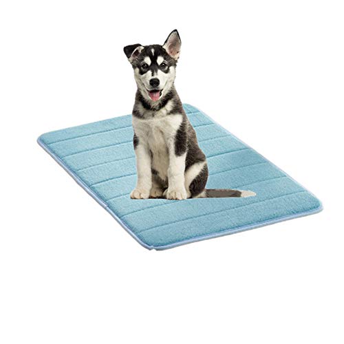 Hundekissen Hundekörbchen Grosse Hundekorb Hundebetten Hundekissen Kleine Hunde Körbchen Hund Weiches Tierarztbett Hundekomfortbett Hundekiste Mat Kätzchenbett Blue,m von KunLS