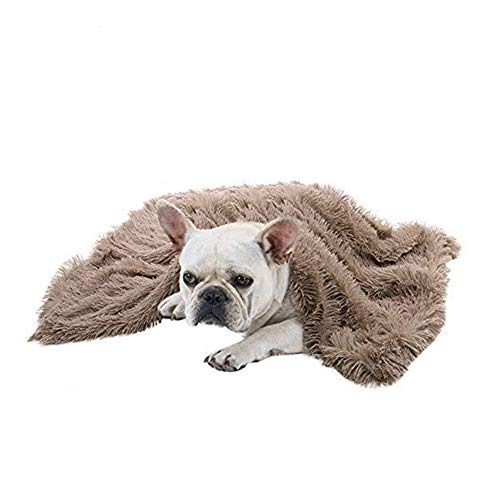 Hundekörbchen Hundekorb Grosse Hundebett Grosse Hundebetten Dog Bed Hunde Zubehör Für Große Hunde Dicke Haustierdecke Weiche Decke Hundedecken Waschbar Brown,s von KunLS