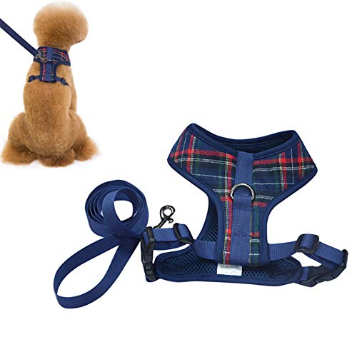 Katzenleine Hundegeschirr Kleine Hundegeschirr Katzengeschirr Hundegeschirr Medium No Pull Hundegeschirr Kleiner Hund Hundeleine Für Kleine Hunde Blue,L von KunLS