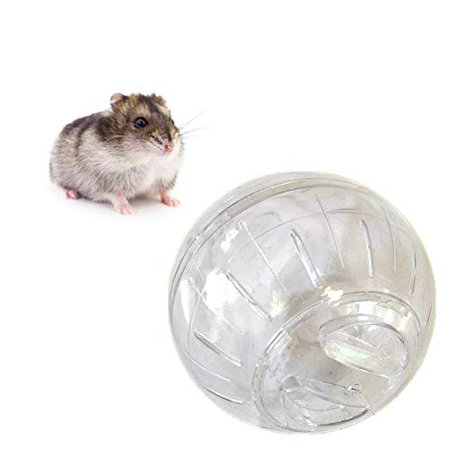 KunLS Hamster Spielzeug Hamsterrad Hamster Zubehör Meerschweinchen Zubehoer Nager Zubehör Hamster Übung Ball Zwerg Hamster Rad Laufrad Hamster Laufrad Für Hamster transparent von KunLS