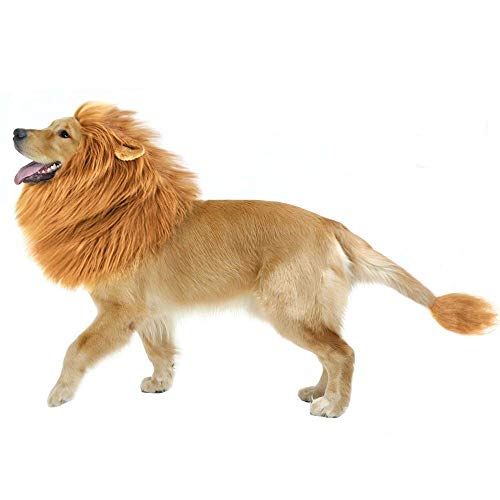 Kungfu Mall Hund Lion Mähne Perücke mit Ohren einstellbar Haustier Kostüm Hund Kostüm für unter 74cm von Kungfu Mall