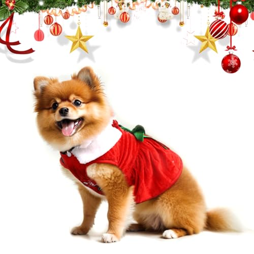 Kungfu Mall Hunde Weihnachtskostüm, Hundebekleidung & Zubehör Fliege Weihnachtsmann-Anzug, Katzen Weihnachtskostüm Santa Kostüm, Hund Weihnachten Geschenke Haustier Cosplay Kostüme Kleine Größe von Kungfu Mall