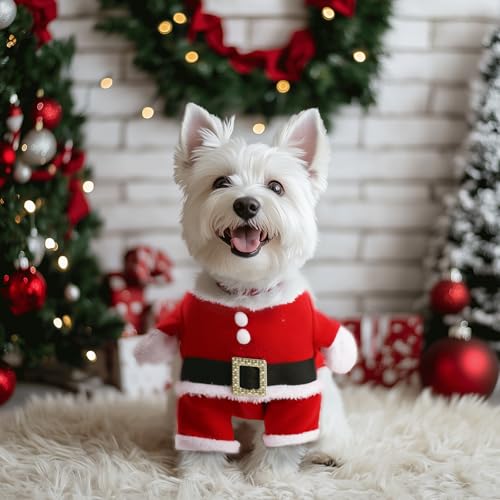 Hunde Weihnachtskostüm, Hundebekleidung & Zubehör Hund Hoodie Kostüm, Katzen Weihnachtskostüm Kostüm Weihnachten, Hund Weihnachten Geschenke Haustier Cosplay Kostüme Kleine Größe von Kungfu Mall