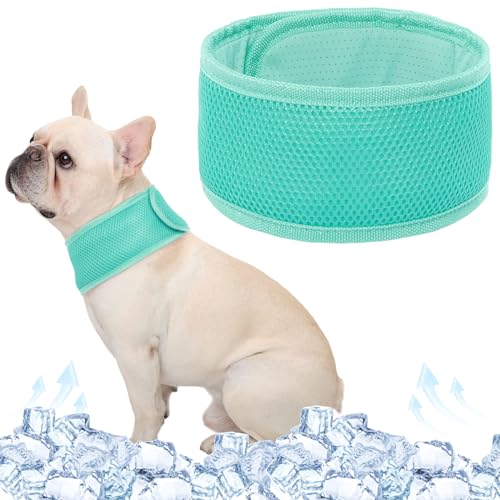 Kuoser Kühlhalsband für Hunde, Kühlhalsband Hund, Sommer-Essentials für Hunde, Kühles Hundebandana, Atmungsaktives Kühlendes Hundehalsband, Kühlendes Hundehalsband Klein Medium Groß Mintgrün S von Kuoser