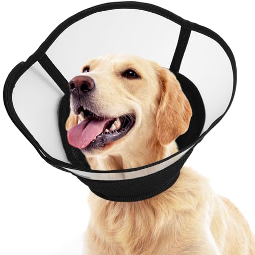 Kuoser Halskrause Hund Weich, Leckschutz Schutzkragen Hund, Comfy Cone Hund, Einstellbarer Halskrause für Hunde Nach op, Atmungsaktive Haustier Elisabethanischer, Halskrause Katze, Schwarz, L von Kuoser