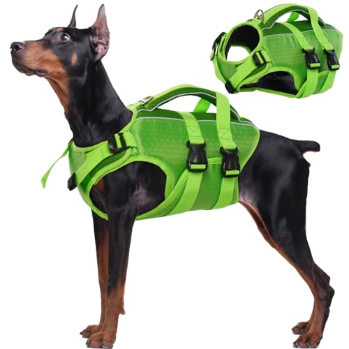 Kuoser Hunde Schwimmweste für kleine mittel große Hunde, Verstellbar & Ripstop Hunde Rettungsweste mit Rettungsgrif, Hoher Schwimmfähigkeit Haustier Lebensretter Welpen Badeanzüge für Strand Green XL von Kuoser