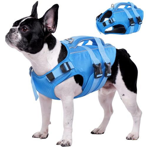 Kuoser Hunde Schwimmweste für kleine mittel große Hunde, Verstellbar & Ripstop Hunde Rettungsweste mit Rettungsgrif, Hoher Schwimmfähigkeit Haustier Lebensretter Welpen Badeanzüge für Strand Blue XS von Kuoser