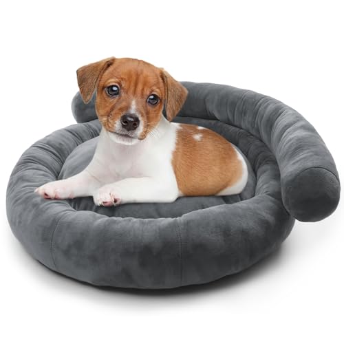 Kuoser Orthopädisches Hundebett Kleine Hunde, Ergonomisches Hundenett Hundesofa, Waschbar Hundebett Katzenbett rutschfeste Unterseite, Weiches Hunde Bett Hundematratze, 50 x 50 cm, Grau von Kuoser