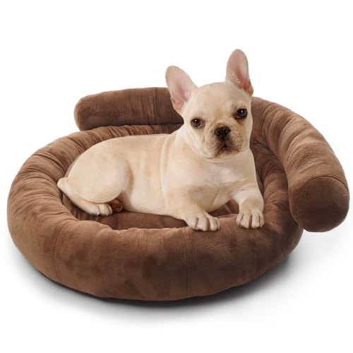 Kuoser Orthopädisches Hundebett Mittelgroße Hunde, Ergonomisches Hundenett Hundesofa, Waschbar Hundebett Katzenbett rutschfeste Unterseite, Weiches Hunde Bett Hundematratze, 60 x 60 cm, Braun von Kuoser