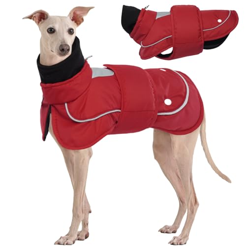 Kuoser Hundemantel, Zweiteilig Hundemantel für Kleine Hunde, Hundemantel Wasserdicht, Hundejacke Kleine Hunde, Hundemantel Winter, Hundemantel Grosse Hunde Rot L von Kuoser