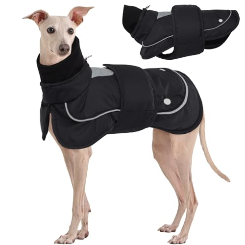 Kuoser Hundemantel, Zweiteilig Hundemantel für Kleine Hunde, Hundemantel Wasserdicht, Hundejacke Kleine Hunde, Hundemantel Winter, Hundemantel Grosse Hunde Schwarz L von Kuoser