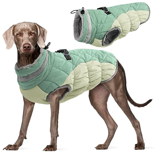 Kuoser Hundemantel Winterjacke für Hunde, Reflektierende Haustierweste mit Fleecefutter & Pelzkragen, Welpen Kleidung Hundekleidung D-Ring, XXL Kuoser Hundemantel Winterjacke für Hunde, Reflektierende Haustierweste mit Fleecefutter & Pelzkragen, Welpen Kleidung Hundekleidung D-Ring, XXL von Kuoser