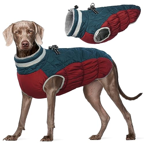 Kuoser Wärme hundemantel, Winddicht hundejacke, Reflektierend hundemantel für kleine Hunde, hundemantel Winter Draußen, Hundemantel Grosse Hunde Mit Reißverschluss Blau XL von Kuoser