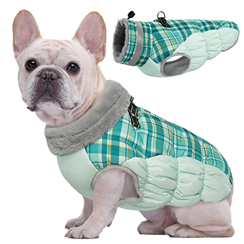 Kuoser Warme Hundejacke, Reflektierende Hundemantel, Winddichte Hundemantel für Kleine Hunde,Moden Hundemantel Grosse Hunde, Hunde Wintermantel, Hundemantel Mit Geschirr Grün M Kuoser Warme Hundejacke, Reflektierende Hundemantel, Winddichte Hundemantel für Kleine Hunde,Moden Hundemantel Grosse Hunde, Hunde Wintermantel, Hundemantel Mit Geschirr Grün M von Kuoser