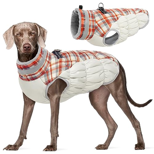 Kuoser Warme Hundejacke, Reflektierende Winddichte Hundemantel für Kleine und Große Hunde, Wintermantel Mit Geschirr, Rot XXL Kuoser Warme Hundejacke, Reflektierende Winddichte Hundemantel für Kleine und Große Hunde, Wintermantel Mit Geschirr, Rot XXL von Kuoser