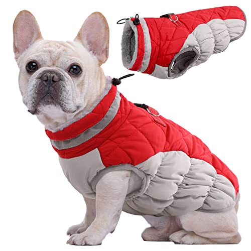 Kuoser Hundejacke Hundemantel für Mittelgroße Hunde Winterweste Wasserdicht Hunde Wintermantel Jacke Winter Hunde Mantel Mit Geschirr Warme Winterjacke Hundepullover Haustier Skifahren Kostüm Rot, M von Kuoser