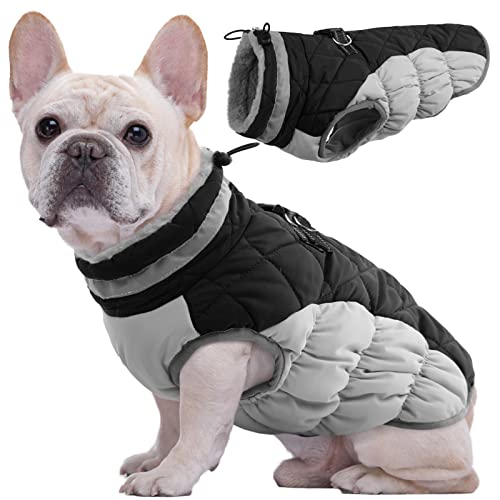 Kuoser Hundejacke Hundemantel für Kleine Hunde Winterweste, Wasserdicht Hunde Wintermantel Jacke Winter Hunde Mantel Mit Geschirr Warme Winterjacke Hundepullover Haustier Skifahren Kostüm Schwarz, XS von Kuoser