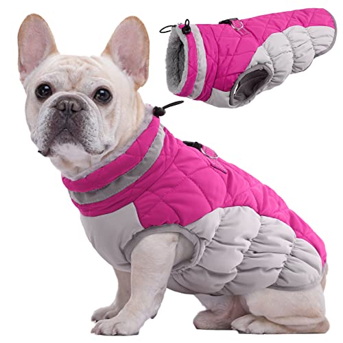 Kuoser Hundejacke Hundemantel für Mittelgroße Hunde Winterweste Wasserdicht Hunde Wintermantel Jacke Winter Hunde Mantel Mit Geschirr Warme Winterjacke Hundepullover Haustier Skifahren Kostüm Rosa, M von Kuoser