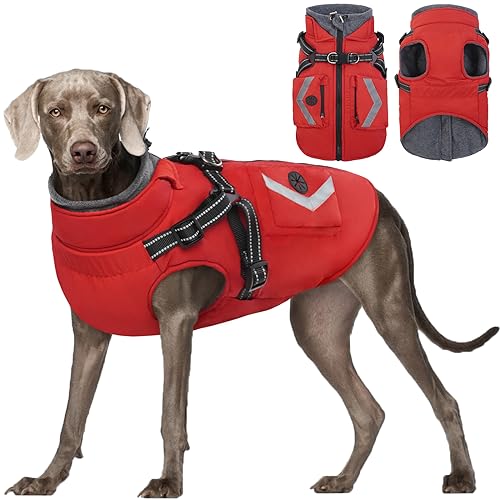 Kuoser Hundemantel,Hundemantel Für Kleine Hunde, Wasserdicht Hundemantel Winter, Hundejacke, Hundemantel Grosse Hunde, Hundemantel Mit Geschirr Rot XXXL von Kuoser