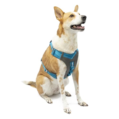 Kurgo Journey Air Hundegeschirr, Mit gepolstertem Brustteil und Rückgriff, Für Hunde von 23-34 kg, Größe L, Blau/Grau von Kurgo