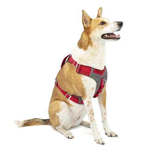 Kurgo Journey Air Hundegeschirr, Mit gepolstertem Brustteil und Rückgriff, Für Hunde von 23-34 kg, Größe L, Rot/Grau von Kurgo