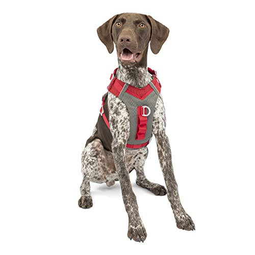 Kurgo Journey Air Hundegeschirr, Mit gepolstertem Brustteil und Rückgriff, Für Hunde von 11-23 kg, Größe M, Rot/Grau von Kurgo