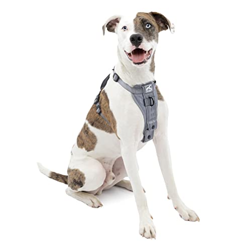 Kurgo TRU-Fit Smart Harness, Dog Harness Pet Walking Harness Quick Release Buckles, Front D-Ring for No Pull Training, Includes Dog Seat Belt Tether (Grey, Medium) von Kurgo