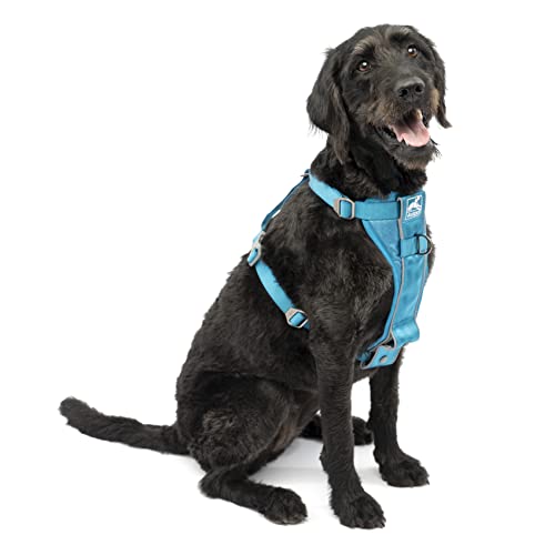 Kurgo TRU-Fit Smart Harness, Dog Harness Pet Walking Harness Quick Release Buckles, Front D-Ring for No Pull Training, Includes Dog Seat Belt Tether (Blue, Large) von Kurgo