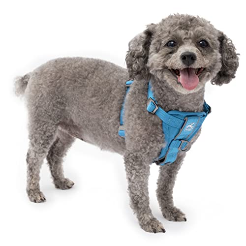 Kurgo Hundegeschirr | Pet Walking Harness | No Pull Harness Front Clip Funktion für Training enthalten | Auto Sicherheitsgurt | TRU-Fit Schnellverschluss Stil | Klein | Blau von Kurgo