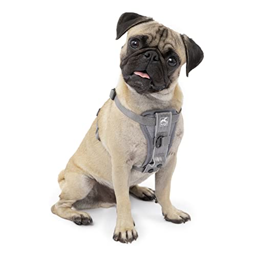 Kurgo TRU-Fit Smart Harness, Dog Harness Pet Walking Harness Quick Release Buckles, Front D-Ring for No Pull Training, Includes Dog Seat Belt Tether (Grey, Small) von Kurgo