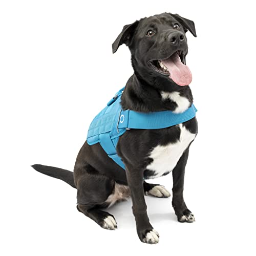 Kurgo RSG Townie Hundegeschirr, Einfaches Anlegen und Abnehmen, Einstellbare Brust- und Bauchgurte, Größe S, Blau von Kurgo