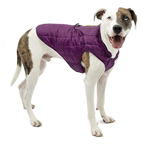 Kurgo North Country wasserdichter Hundemantel, Mit Fleece-Futter, LED-Licht für Nachtsichtbarkeit, Größe L, Grau/Lila von Kurgo