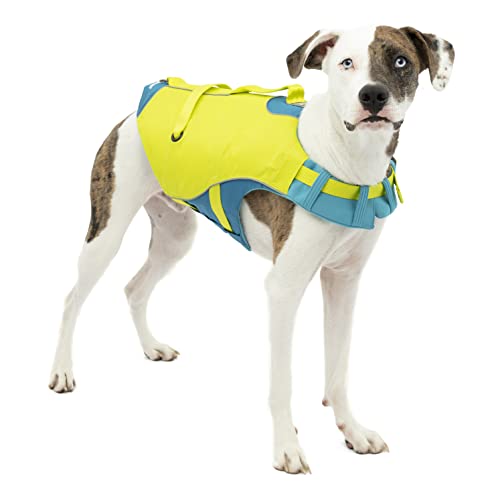 Kurgo Surf n' Turf Hundeschwimmweste, Hundeschwimmweste zum Schwimmen, Schwimmwesten für Hunde, Hund PFD, reflektierend, verstellbar, Blau/Grün, Small von Kurgo