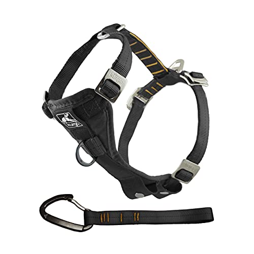 Kurgo TRU-Fit Leine, Halsband Hund, No Pull Hundegeschirr, Frontclipfunktion für Training & Hundegurt fürs Auto, Hunde Zubehör. Größe: X-Large (sehr groß) von Kurgo