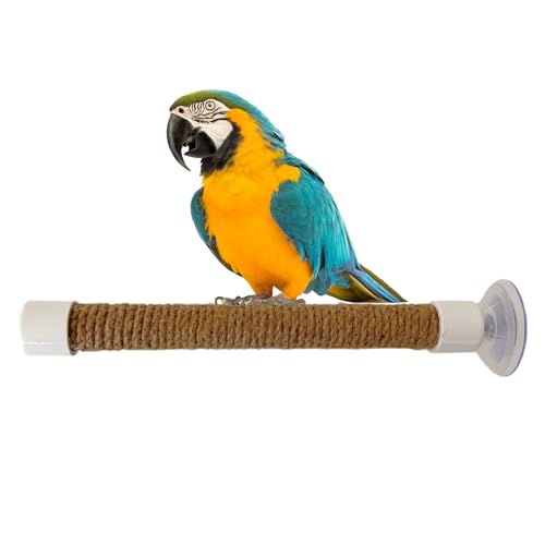 Kustimantu CACKATOO Fensterstange für Vögel, Saugtassen-Vogelstange, Ausbildungsständer für Wellensittiche – Macaw Parakeet Battle Käfig Zubehör Zubehör Persh Perch Kustimantu CACKATOO Fensterstange für Vögel, Saugtassen-Vogelstange, Ausbildungsständer für Wellensittiche – Macaw Parakeet Battle Käfig Zubehör Zubehör Persh Perch von Kustimantu