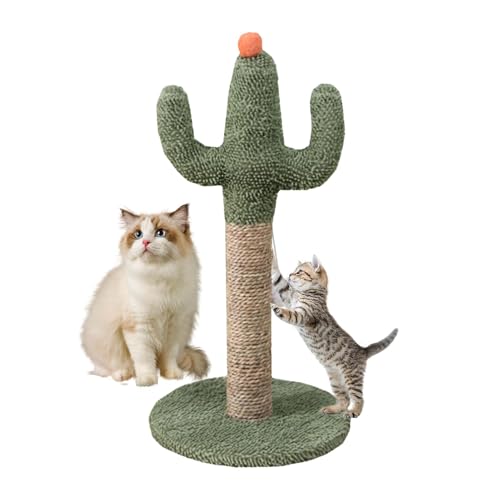 Kustimantu Cactus Cat Tree, süßer Katzenkratzer,Katzenposten und Kratzer - Stabiler Sisal -Nagelschärfer, Kätzchen -Kratzstangen mit interaktivem Ball für kleine Kätzchen von Kustimantu