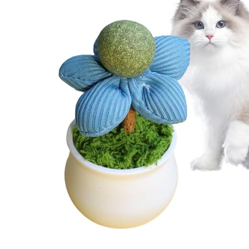 Kustimantu Catnip Interactive Cat Toy, Catnip Lick -Kugeln für Katzen - Blumentopf inspirierte katzenanreicherungsspielzeug für Katzen,Interaktive, Unterhaltung Haustierfutterzähne -Zubehör für von Kustimantu