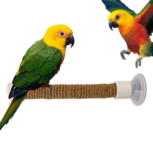 Kustimantu Vogelstange für das Fenster, Fensterstange für Vögel | Wellensittichtrainingsständer | CACKATOO Macaw Parakeet Battle Käfig Zubehör Zubehör Persch Perch Perch für Kustimantu Vogelstange für das Fenster, Fensterstange für Vögel | Wellensittichtrainingsständer | CACKATOO Macaw Parakeet Battle Käfig Zubehör Zubehör Persch Perch Perch für von Kustimantu