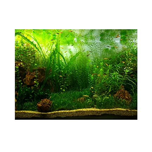 Kuuleyn Aquarienfische, Tank-Hintergrundposter, Wassergras-Stil, Aquarium-Hintergrundposter, PVC-Kleber, Dekorpapier, Stil wie echt (122 * 61) von Kuuleyn