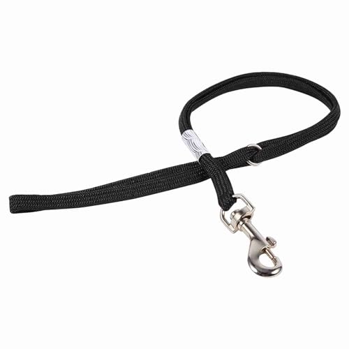 Kuuleyn Fellpflegeschlaufen für Hunde, Hundepflegeschlinge, 2 Arten, für Hunde und Katzen, Pflegetisch, Armbadewanne, verstellbares Rückhalteseil, Geschirr, Schlinge (Small buckle (flat buckle)) von Kuuleyn