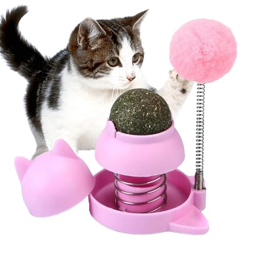 Katzenminzblase, drehbar, drehbare Katzenleckkugel, Katzenblasenwand, Katzenspielzeug von Kuxiptin