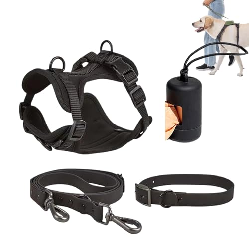 Kuxiptin Hundegeschirr-Set, Haustiergeschirr, Halsband und Leine, Set mit Leine für mittelgroße Hunde, verstellbar, modisch von Kuxiptin