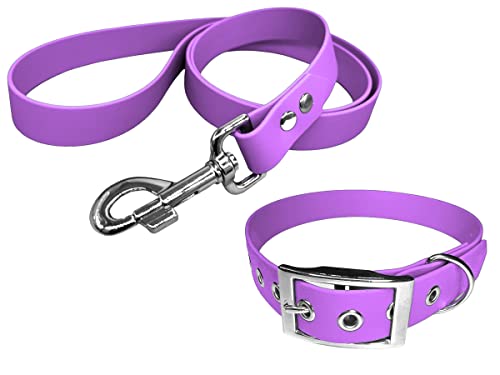 Halsband und Leine für Hunde aus BioThane, mittlere Breite (35-40 cm, Amethyst) von L'Atelier du Fourmilier