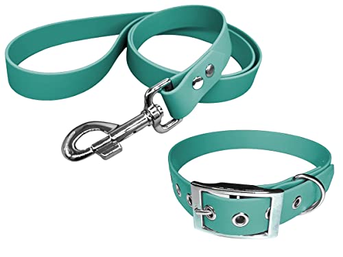 Hundehalsband und Leine aus BioThane-Material, mittlere Breite (45-55 cm, Teal) von L'Atelier du Fourmilier