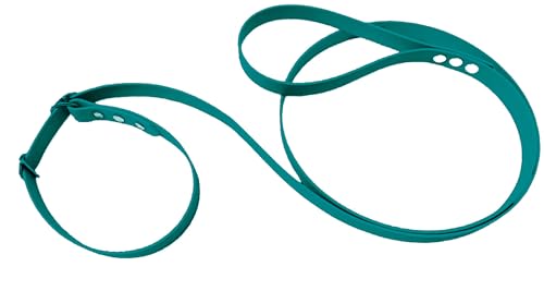 Martingale Hundeleine aus BioThane, dünn, Teal von L'Atelier du Fourmilier