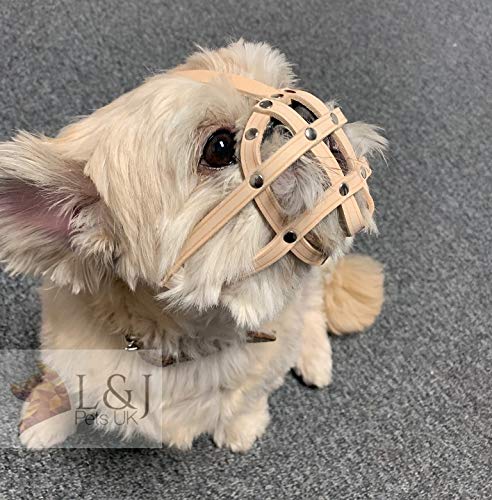 L&J Pets Uk Maulkorb aus Leder für Shih Tzu und andere flache Hunde mit kurzer Schnauze von L&J Pets Uk