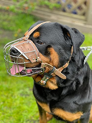 Maulkorb aus robustem Draht, Metall, Rottweiler, Mastiff, Golden Retriever und andere (R3, silberfarben/braunes Leder) von L&J Pets Uk