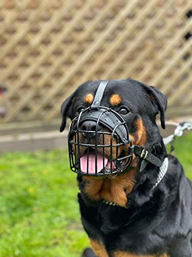 Starker Maulkorb aus Drahtmetall für Hunde, Rottweiler, Mastiff, Golden Retriever und andere (R2, schwarz/schwarzes Leder) von L&J Pets Uk