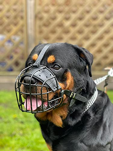 Starker Maulkorb aus Drahtmetall für Hunde, Rottweiler, Mastiff, Golden Retriever und andere (R4, schwarz/schwarzes Leder) von L&J Pets Uk